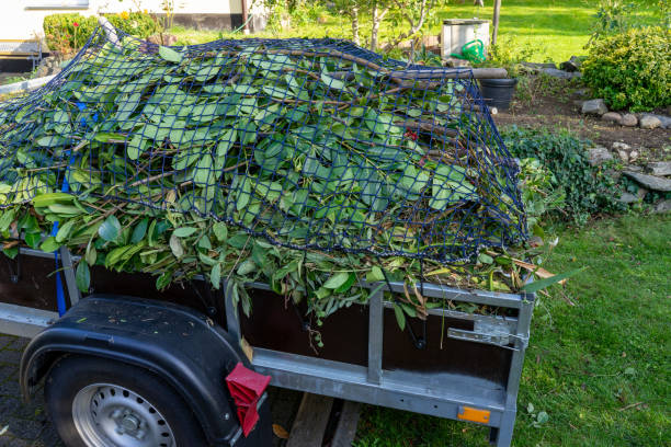 Best Yard Waste Removal  in Blaine, TN